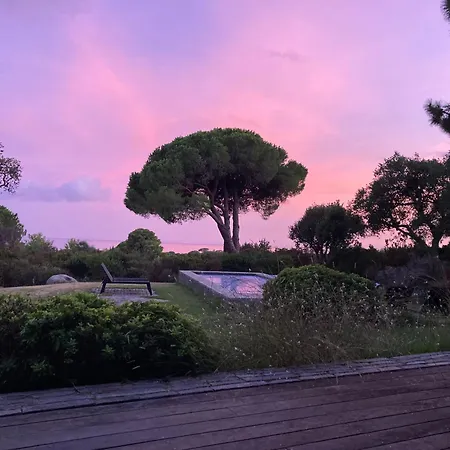 Les Lofts De Palombaggia Aparthotel