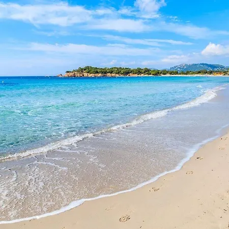 Les Lofts De Palombaggia *